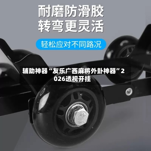 辅助神器“友乐广西麻将外卦神器”2026透视开挂-第3张图片