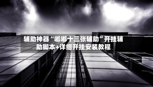辅助神器“嘟嘟十三张辅助”开挂辅助脚本+详细开挂安装教程-第2张图片