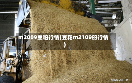 m2009豆粕行情(豆粕m2109的行情)