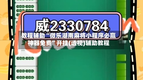 教程辅助“微乐湖南麻将小程序必赢神器免费”开挂(透视)辅助教程