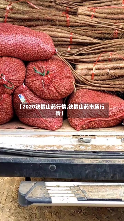 【2020铁棍山药行情,铁棍山药市场行情】