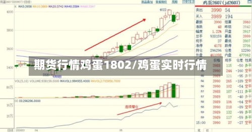 期货行情鸡蛋1802/鸡蛋实时行情