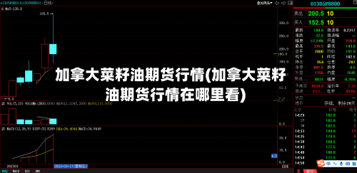 加拿大菜籽油期货行情(加拿大菜籽油期货行情在哪里看)-第2张图片