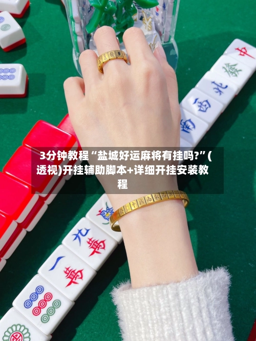 3分钟教程“盐城好运麻将有挂吗?”(透视)开挂辅助脚本+详细开挂安装教程-第2张图片