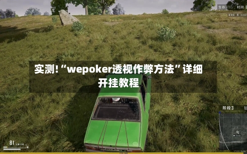 实测!“wepoker透视作弊方法”详细开挂教程-第2张图片
