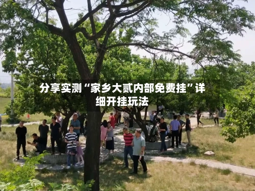 分享实测“家乡大贰内部免费挂	”详细开挂玩法-第2张图片