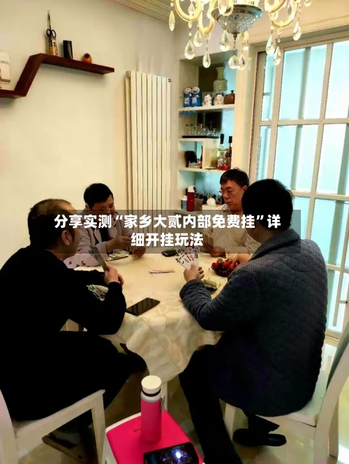 分享实测“家乡大贰内部免费挂”详细开挂玩法-第3张图片