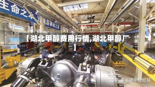 【湖北甲醇费用行情,湖北甲醇厂】