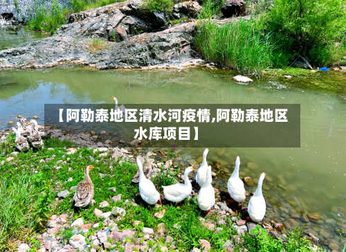 【阿勒泰地区清水河疫情,阿勒泰地区水库项目】