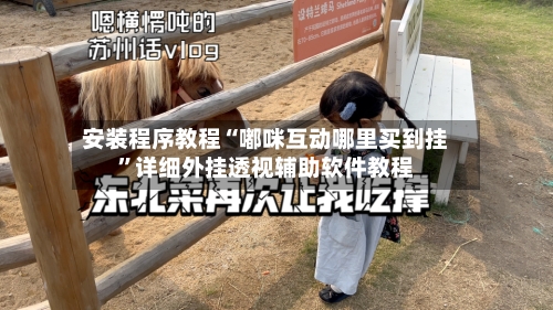 安装程序教程“嘟咪互动哪里买到挂”详细外挂透视辅助软件教程