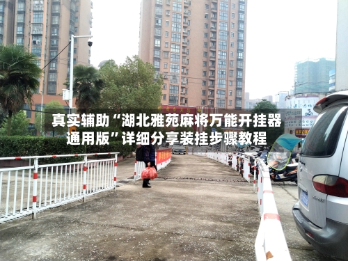 真实辅助“湖北雅苑麻将万能开挂器通用版”详细分享装挂步骤教程-第2张图片