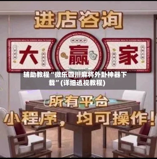 辅助教程“微乐四川麻将外卦神器下载	”(详细透视教程)-第2张图片