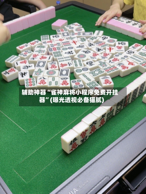 辅助神器“雀神麻将小程序免费开挂器	”(曝光透视必备猫腻)-第3张图片