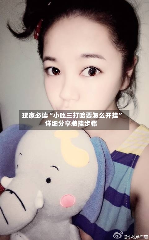 玩家必读“小吆三打哈要怎么开挂”详细分享装挂步骤-第3张图片
