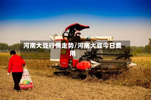 河南大豆行情走势/河南大豆今日费用