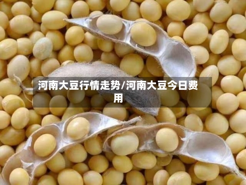 河南大豆行情走势/河南大豆今日费用-第2张图片