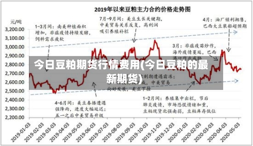 今日豆粕期货行情费用(今日豆粕的最新期货)-第3张图片