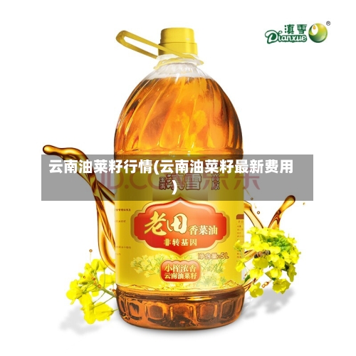 云南油莱籽行情(云南油菜籽最新费用)-第2张图片