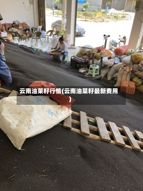 云南油莱籽行情(云南油菜籽最新费用)