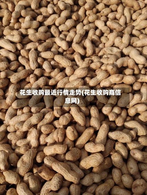花生收购最近行情走势(花生收购商信息网)-第2张图片