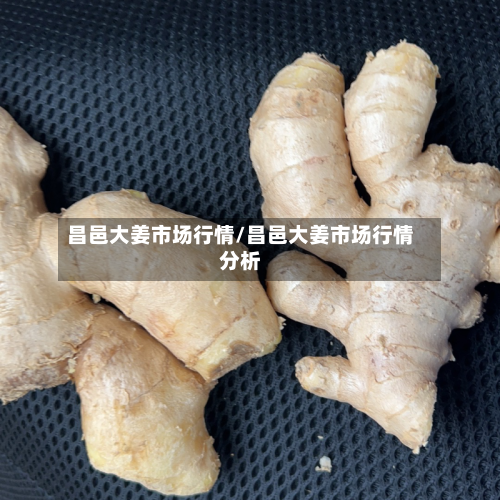 昌邑大姜市场行情/昌邑大姜市场行情分析-第3张图片