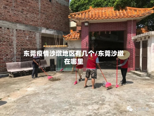 东莞疫情沙墩地区有几个/东莞沙墩在哪里