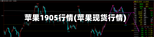 苹果1905行情(苹果现货行情)-第3张图片