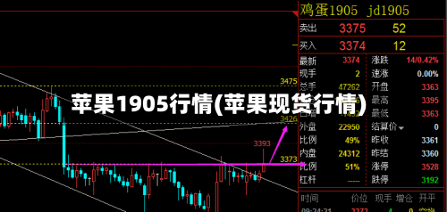 苹果1905行情(苹果现货行情)