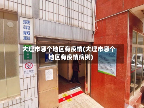 大理市哪个地区有疫情(大理市哪个地区有疫情病例)-第2张图片