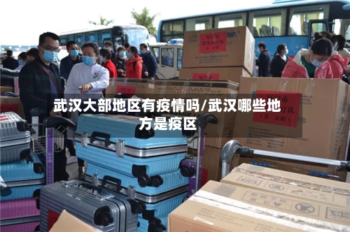 武汉大部地区有疫情吗/武汉哪些地方是疫区-第3张图片
