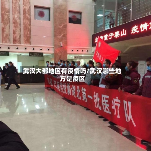 武汉大部地区有疫情吗/武汉哪些地方是疫区-第2张图片