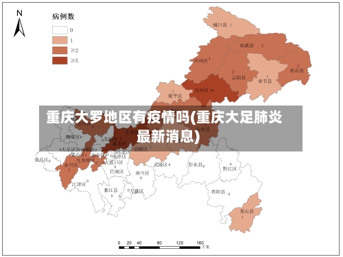 重庆大罗地区有疫情吗(重庆大足肺炎最新消息)-第2张图片