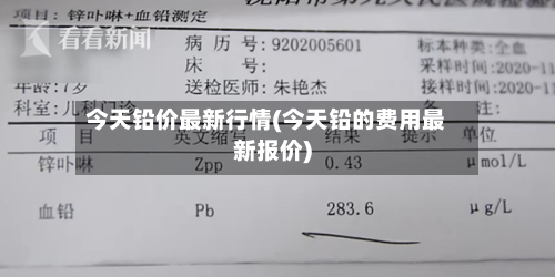 今天铅价最新行情(今天铅的费用最新报价)-第2张图片