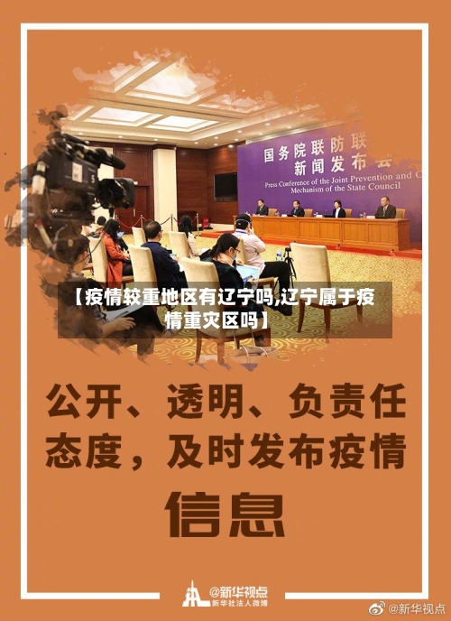 【疫情较重地区有辽宁吗,辽宁属于疫情重灾区吗】-第3张图片
