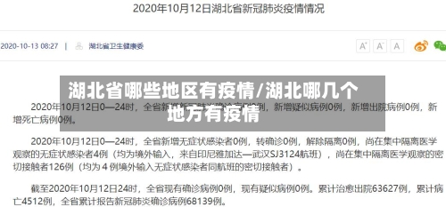 湖北省哪些地区有疫情/湖北哪几个地方有疫情-第2张图片