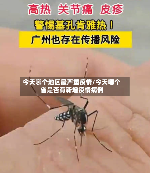 今天哪个地区最严重疫情/今天哪个省是否有新增疫情病例