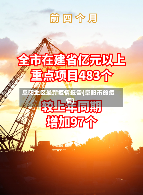 阜阳地区最新疫情报告(阜阳市的疫情)-第2张图片
