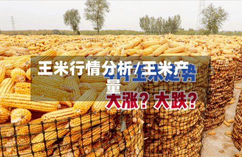 王米行情分析/王米产量