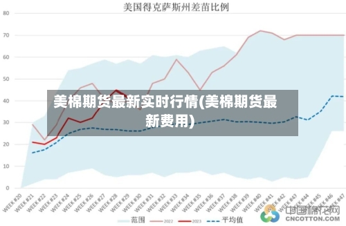 美棉期货最新实时行情(美棉期货最新费用)