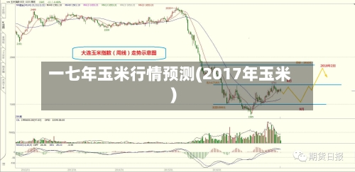 一七年玉米行情预测(2017年玉米)