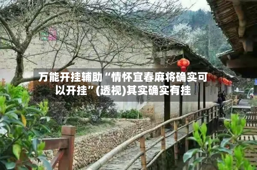 万能开挂辅助“情怀宜春麻将确实可以开挂”(透视)其实确实有挂-第2张图片