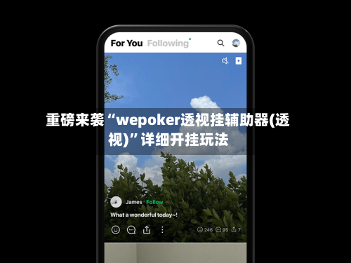 重磅来袭“wepoker透视挂辅助器(透视)	”详细开挂玩法-第2张图片
