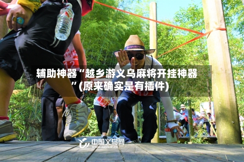 辅助神器“越乡游义乌麻将开挂神器”(原来确实是有插件)