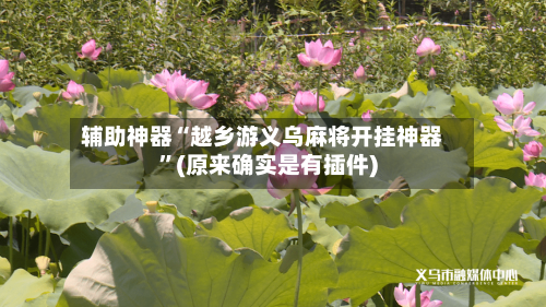 辅助神器“越乡游义乌麻将开挂神器”(原来确实是有插件)-第2张图片