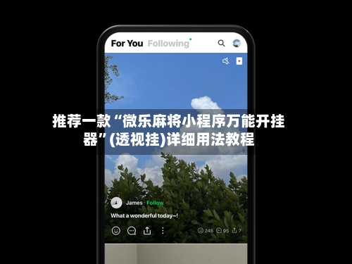 推荐一款“微乐麻将小程序万能开挂器”(透视挂)详细用法教程-第3张图片