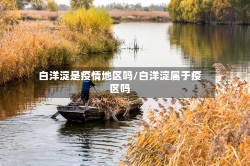 白洋淀是疫情地区吗/白洋淀属于疫区吗-第2张图片