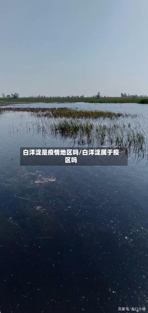 白洋淀是疫情地区吗/白洋淀属于疫区吗