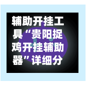 辅助开挂工具“贵阳捉鸡开挂辅助器”详细分享装挂步骤教程-第2张图片