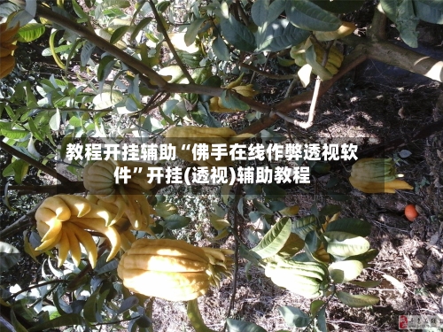 教程开挂辅助“佛手在线作弊透视软件”开挂(透视)辅助教程-第2张图片