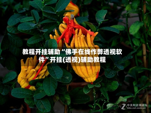 教程开挂辅助“佛手在线作弊透视软件”开挂(透视)辅助教程-第3张图片